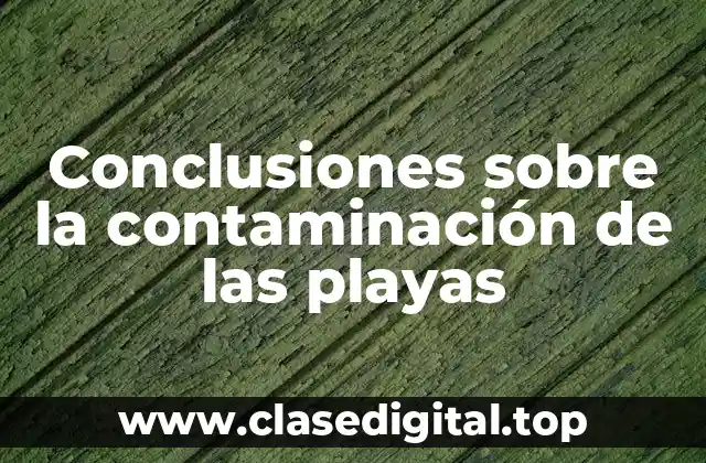 Conclusiones sobre la contaminación de las playas