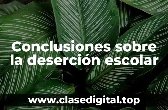 Conclusiones sobre la deserción escolar
