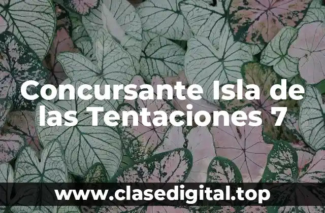 ¿Quiénes son los concursantes de Isla de las Tentaciones 7?