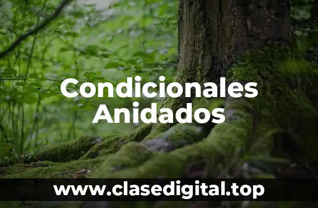 Condicionales Anidados