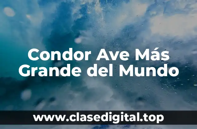 Condor Ave Más Grande del Mundo