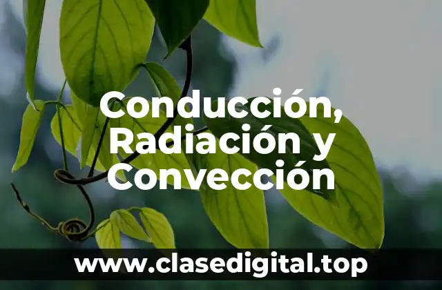 Conducción, Radiación y Convección