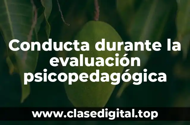 Conducta durante la evaluación psicopedagógica