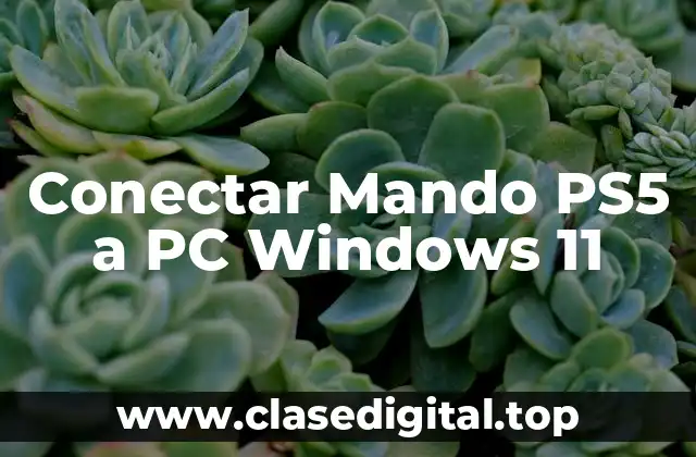 Conectar Mando PS5 a PC Windows 11