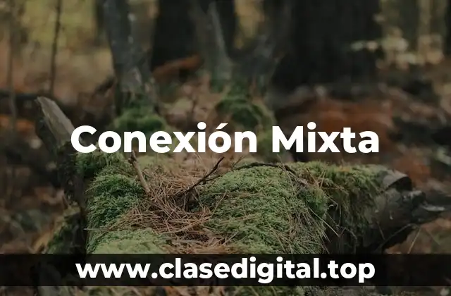 Conexión Mixta