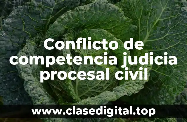 Conflicto de competencia judicia procesal civil