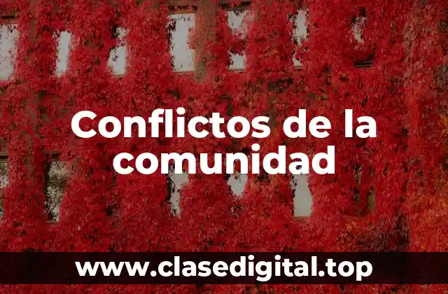 Conflictos de la comunidad