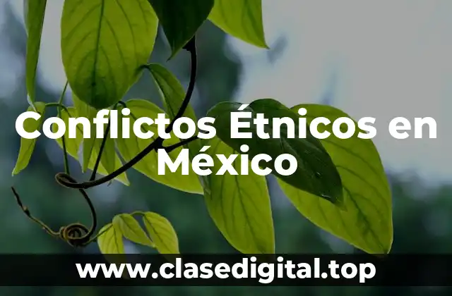 Ejemplos de Conflictos Étnicos en México