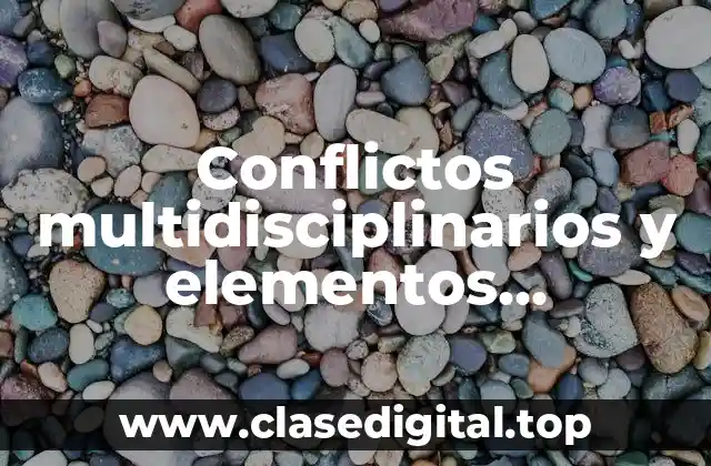 Conflictos multidisciplinarios y elementos interdisciplinarios