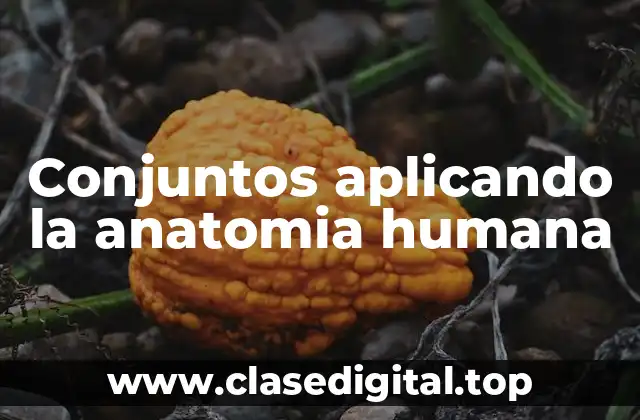 Ejemplos de conjuntos aplicando la anatomia humana
