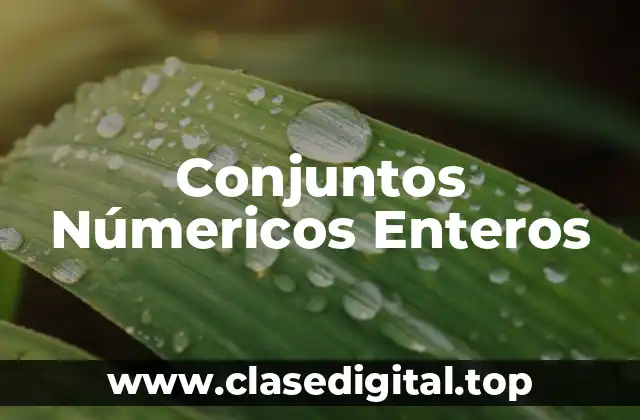 Conjuntos Númericos Enteros