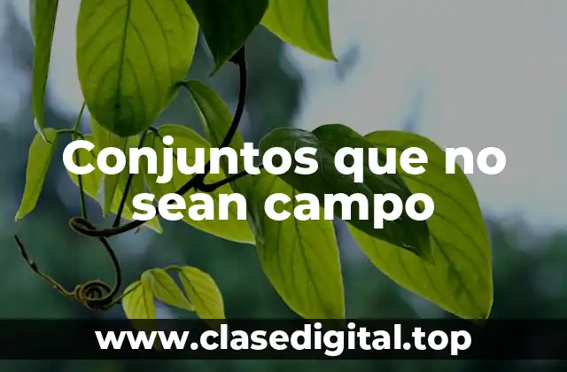 Conjuntos que no sean campo