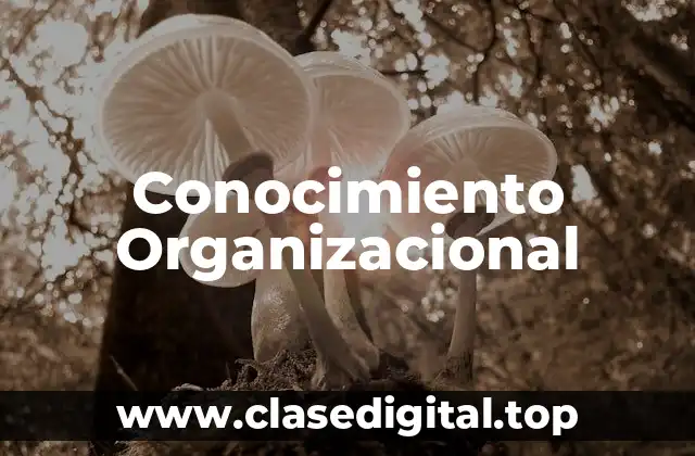 Conocimiento Organizacional