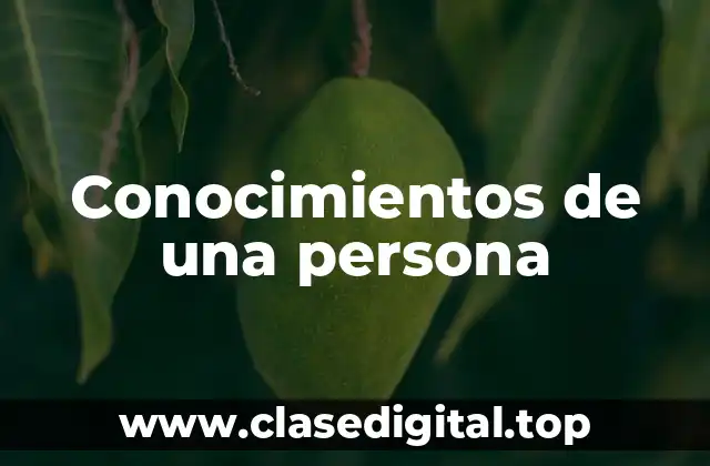 Conocimientos de una persona