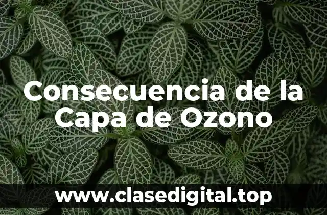 Consecuencia de la Capa de Ozono