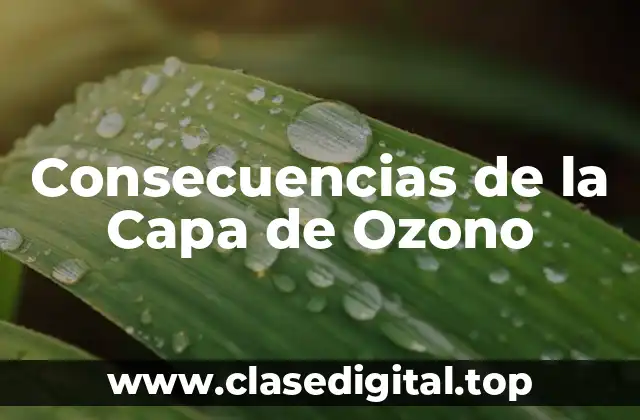 Consecuencias de la Capa de Ozono