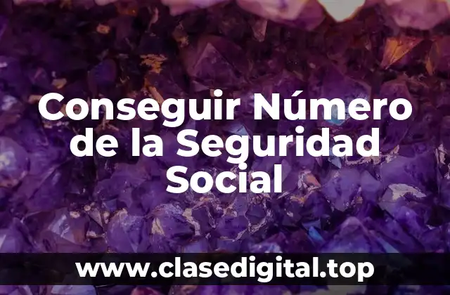 Conseguir Número de la Seguridad Social