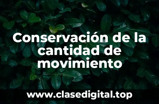 Conservación de la cantidad de movimiento