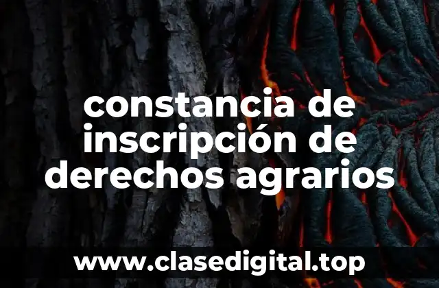 constancia de inscripción de derechos agrarios
