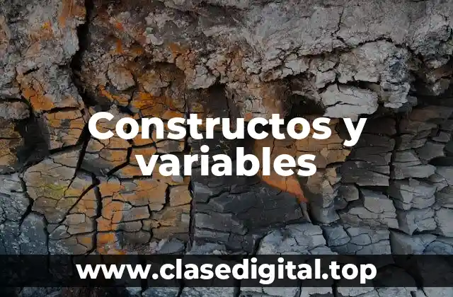 Constructos y variables