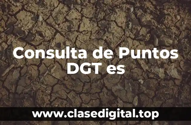 Consulta de Puntos DGT es