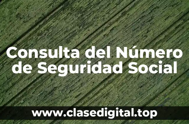 Consulta del Número de Seguridad Social