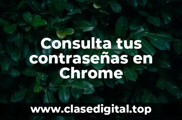 Consulta tus contraseñas en Chrome