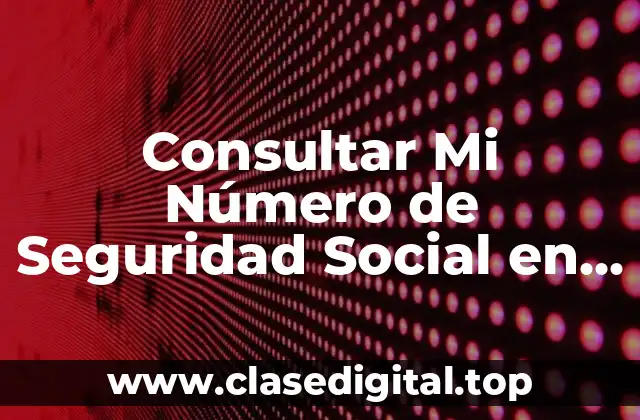 Consultar Mi Número de Seguridad Social en Línea