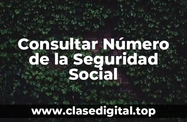 Consultar Número de la Seguridad Social
