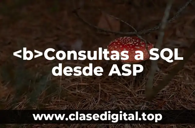 <b>Consultas a SQL desde ASP