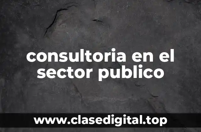 consultoria en el sector publico