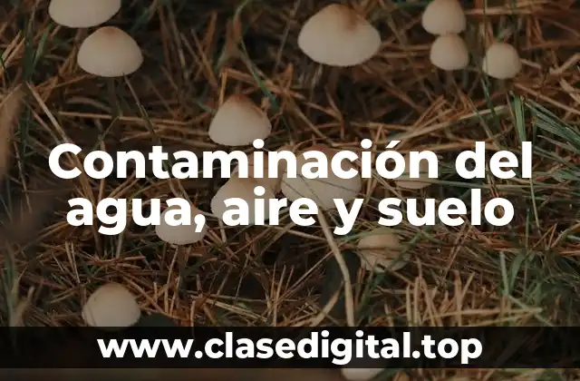 Contaminación del agua, aire y suelo
