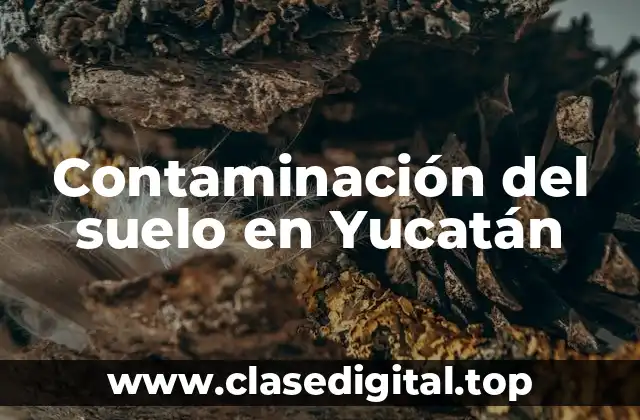 Contaminación del suelo en Yucatán