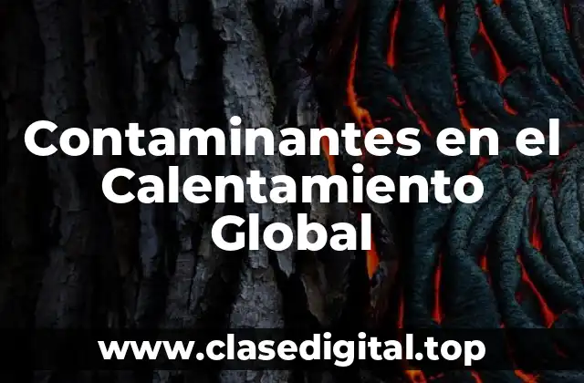 Contaminantes en el Calentamiento Global