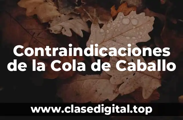 Contraindicaciones de la Cola de Caballo