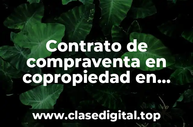Contrato de compraventa en copropiedad en México