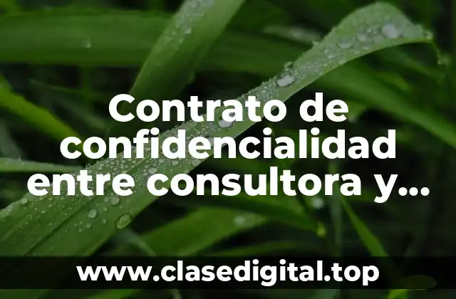 Contrato de confidencialidad entre consultora y empresa