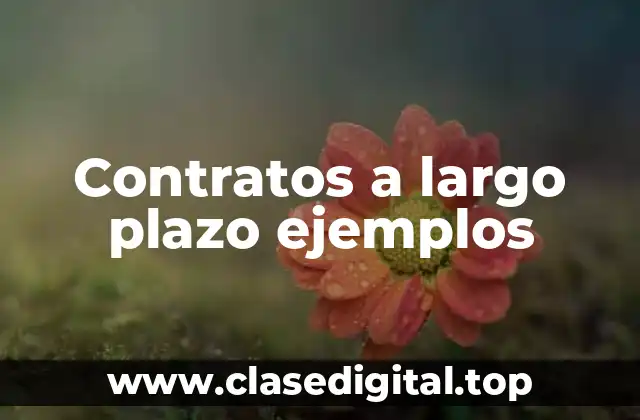 Contratos a largo plazo ejemplos