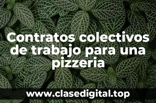 Contratos colectivos de trabajo para una pizzeria