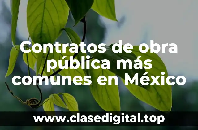 Contratos de obra pública más comunes en México