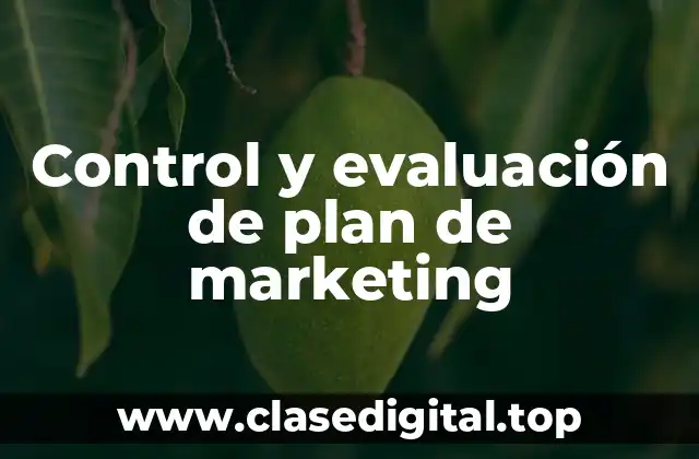 Ejemplos de control y evaluación de plan de marketing