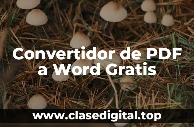 Convertidor de PDF a Word Gratis