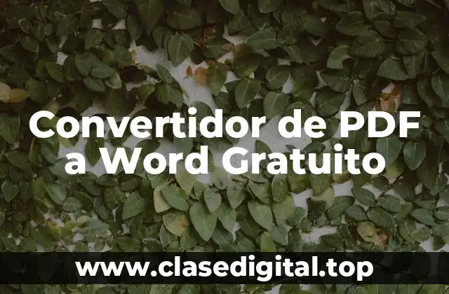 Convertidor de PDF a Word Gratuito