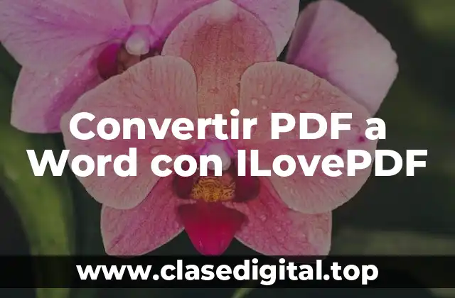 Convertir PDF a Word con ILovePDF