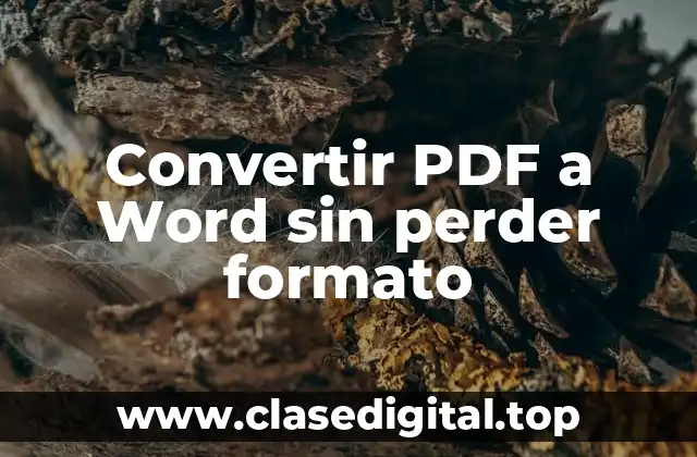 Convertir PDF a Word sin perder formato