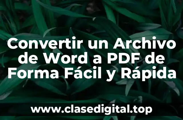 ¿Por qué es Importante Convertir Archivos de Word a PDF?