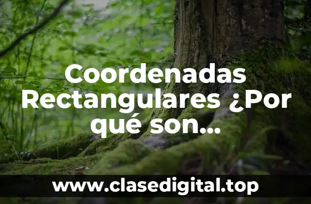 Coordenadas Rectangulares ¿Por qué son importantes?