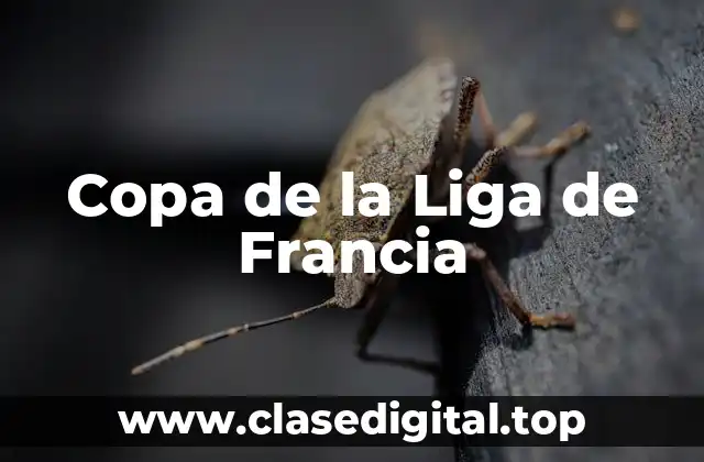 Historia de la Copa de la Liga de Francia