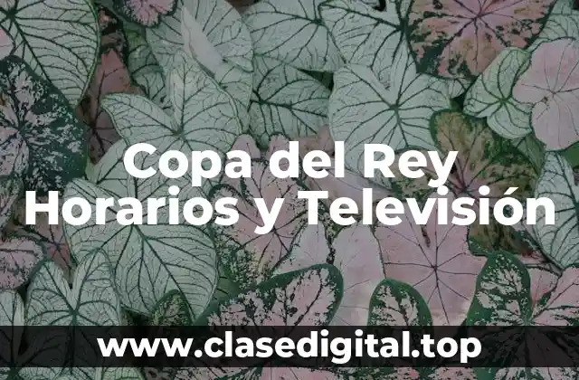 Copa del Rey Horarios y Televisión