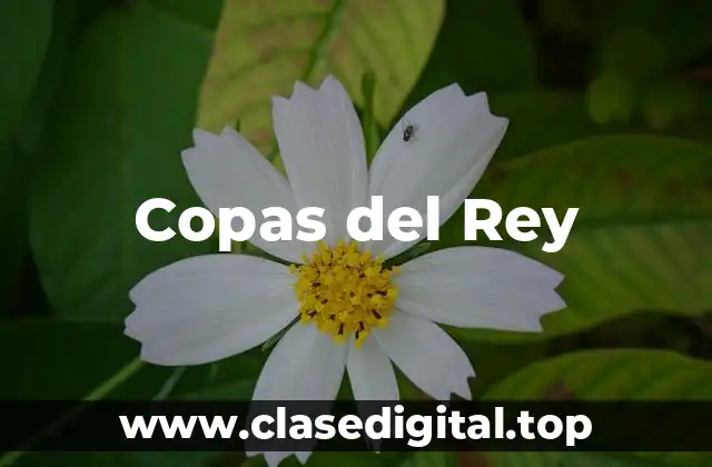 Copas del Rey